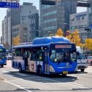 간선-75 이미지