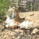 제일산장 이미지