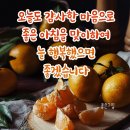 💌2️⃣0️⃣2️⃣3️⃣년0️⃣1️⃣월3️⃣1️⃣일 화요일 아침 문안편지 💌 이미지