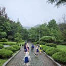 숲놀이(8/3주 ; 매미한살이판,질경이바이얼린,자리공매니큐어,비오는날산책,강과댐공사놀이,개구리,방아깨비관찰,이야기할머니,돌돌이,계곡… 이미지