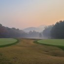 뉴코리아 이미지