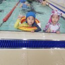 리틀아쿠아파크 이미지