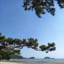 송호목장 이미지