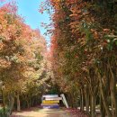 홍가농장 이미지