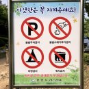 하천섬(솔밭) 이미지