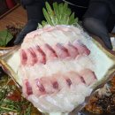 7번국도 동해대로(양양읍) 티스토리