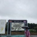 포스코'근교'산악회와 함께한 동서트레일 5구간 후기 이미지