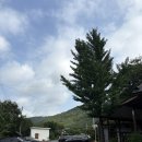 빌라드 아바 | 평상 대여, 수영장 워터슬라이드 이용가능한 라운지아바(울산/대구 근교, 취사가능아이와 가기 좋은곳)