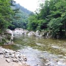 강원도 양양 응복산1359m 오지 합실골 소개합니다.(산행기복사본입니다.) 이미지