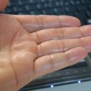 다모아미용재료 - 계양구 계양대로 85-1 | 다모아미용재료