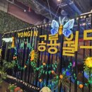 중부대로4 | 용인 아이랑 갈만한 곳 공룡월드 4살 여아랑 다녀온 후기