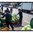 태양식자재유통 이미지