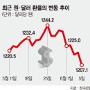 환율변동의 다양한 원인 이미지