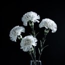 다한상조 네이버블로그