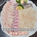 103 | 대구달서구맛집 금찡어, 산오징어와 활어회 제대로 즐긴 후기