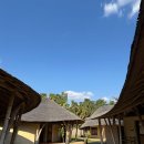 무봉체육시설 배구장 | 반년, 판야덴에서의 솔직한 기록