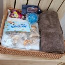 밸런스독 이미지