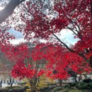 (주)풀향기