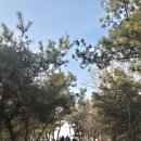 2026.03.10 사순시기 새벽 기도회 (3주차) 이미지