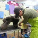 중앙미용학원 이미지