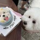 까까가개 이미지