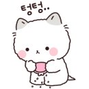 에스엔비 이미지