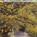 상위마을(상) 이미지