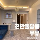 불당동속눈썹 무유 올인원펌 자연스러운 속눈썹연장 후기