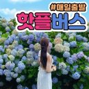 정방기획 | [제주도여행 필수] 렌트카 왜 빌려? 공항 픽업에 입장료까지 싹 다 포함된 제주도 버스투어 5분 요약 🌴