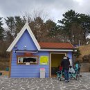 고창타조농장 | 제주도 화조원 아이랑가볼만한곳 적극추천!