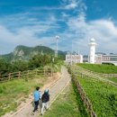 고래천국 이미지