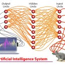코스믹바이오 이미지