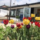 맘인더가든 이미지