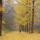 인천광역시 시립박물관 이미지