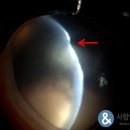 이엔메디칼 이미지