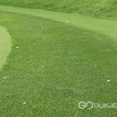 천금농장 이미지