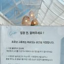 코코넛그루브 | 속초 이국적 감성의 온실속 수영장이 있는 카페 [코코넛 그루브]