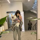 EL(이엘)16.52 이미지