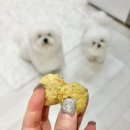 댕댕이 간식창고 | 수제통살 강아지수제간식 추천! 강아지,고양이 모두 급여 가능한 듀먼간식 후기