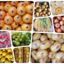 파주청과(과일) 이미지