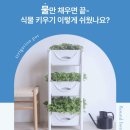 관수슈퍼 | 상추키우기 쉬운 저면관수화분 추천 베란다 텃밭화분...딱 나의 첫 도시농부 프로젝트 성공적인 만족후기