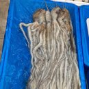 도림마트 이미지