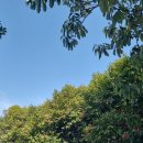 신서귀포 이미지