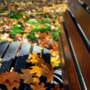 생활 중국어(기초) 이미지