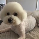 늘 너에개 이미지