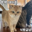 식빵이네 | 평택 실내 데이트 추천 [식빵굽냥] 내돈내산 후기