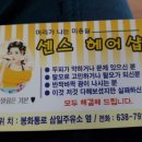 센스헤어샾