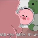 대만 쇼핑리스트 추천 가격 후기