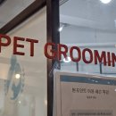 강동구애견미용학원 직장다니며 주말반으로 자격증 따고 바로 창업하기까지 과정 공유!