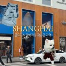 아디다스하양점 | 중국 상하이 상해 쇼핑 추천 아디다스 매장 중드다스 중티다스 져지 강아지옷 커스텀 가격 종류 후기...